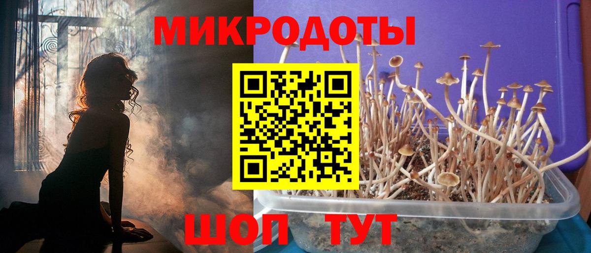 Лениногорск  Галлюциногенные грибы GOLDEN TEACHER  Вход с VPN 