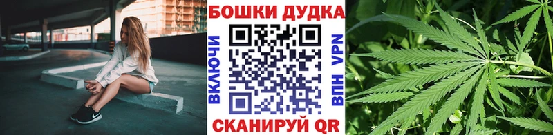 Шишки марихуана марихуана  Лениногорск 